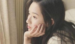 博主爆料娱乐圈小说,揭秘幕后真相，揭开明星们的爱恨情仇