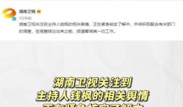 吃瓜娱乐收益怎么样,揭秘网络狂欢背后的收益秘密