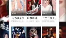 爆料大案二集视频播放下载,视频播放下载背后的惊心动魄