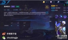 王者爆料贤哥视频,贤哥爆料视频深度解析