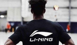 李宁篮球爆料视频最新版,揭秘篮球传奇背后的故事与挑战