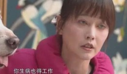 黄安爆料周海媚视频,娱乐圈真相再掀波澜