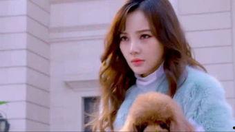 娱乐吃瓜直播讲故事视频,揭秘娱乐吃瓜背后的故事