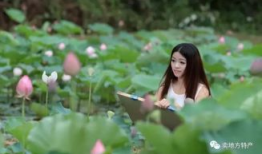 碧之季节在线观看,在线观看，探寻青春记忆的温暖时光