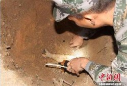 海南工地爆料事件视频,揭露现场惊人真相