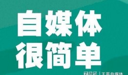 爆料赶海自媒体收入视频