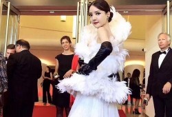 洪小乔爆料视频大全集,揭秘背后真相与精彩瞬间